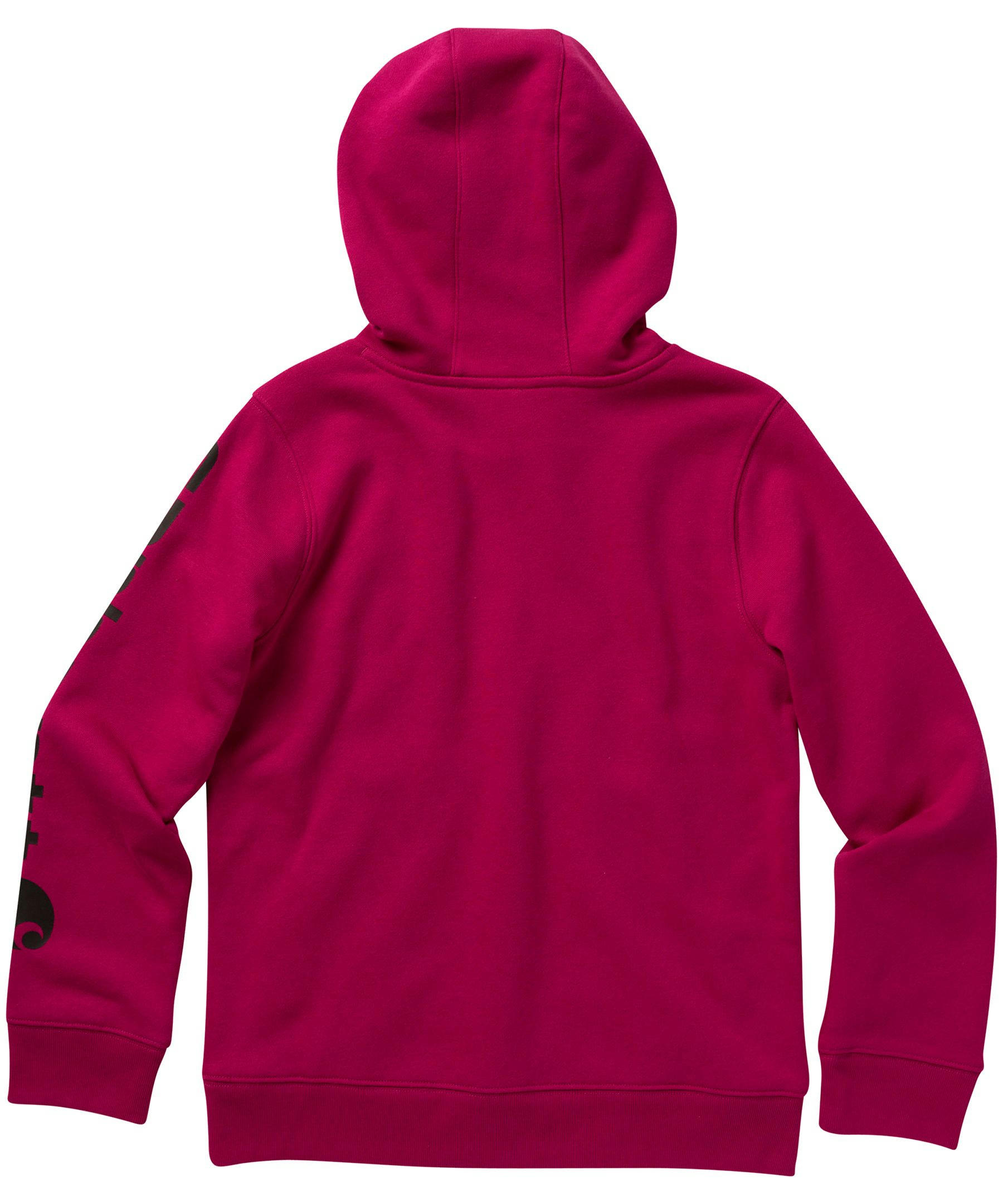 Carhartt Kids' Long Sleeve Graphic Hoodie Sweatshirt