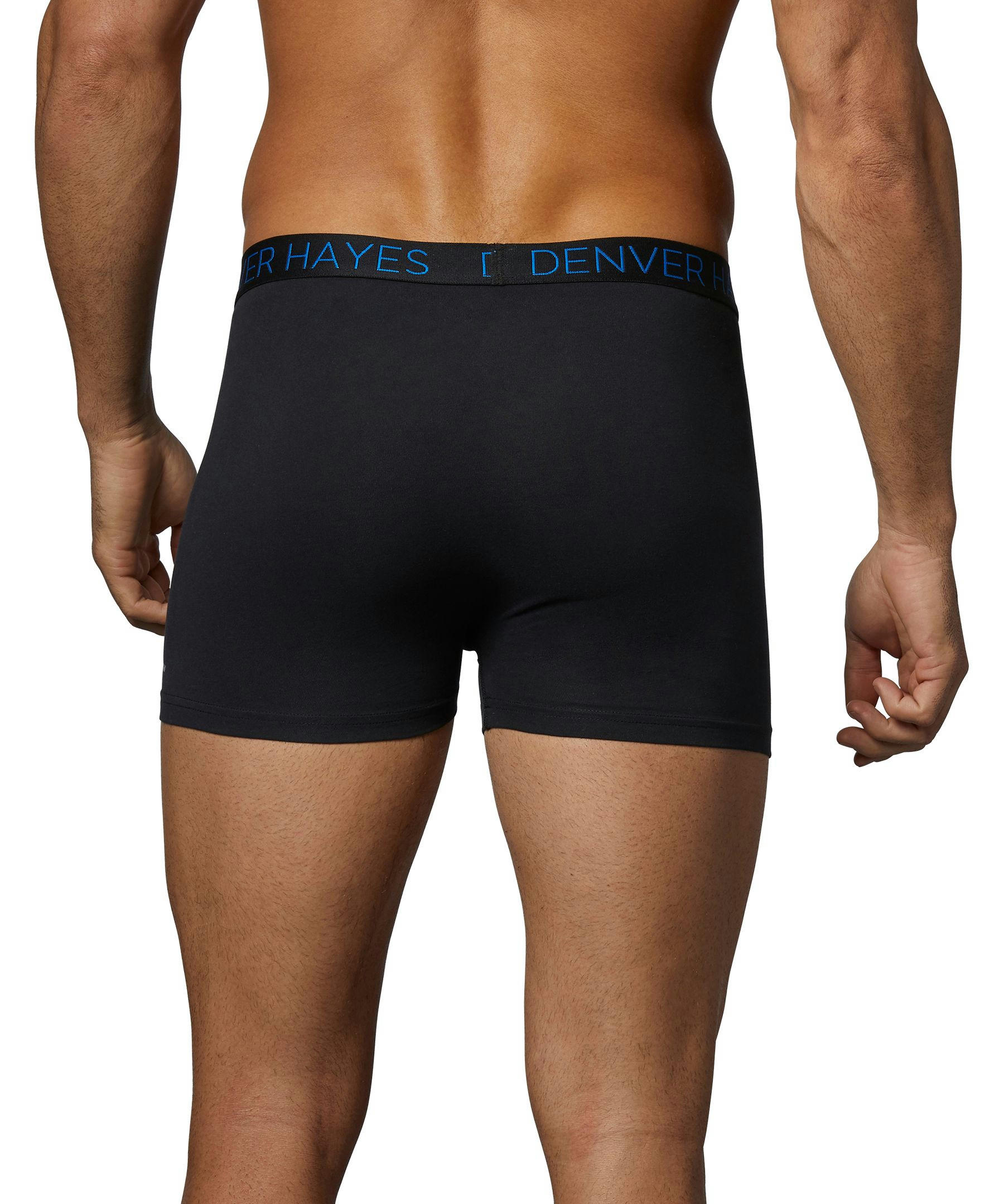 Denver Hayes Men's 2-Pack DriWear Trunk Brief