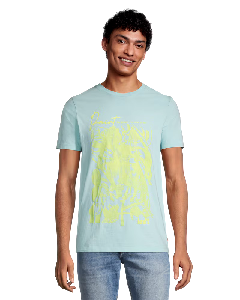Levi's Men's Paint Pastel Graphic Crewneck Cotton T Shirt
