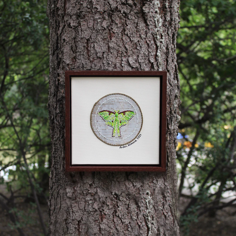 Amber Waboose Quilled Lunar Moth Artwork