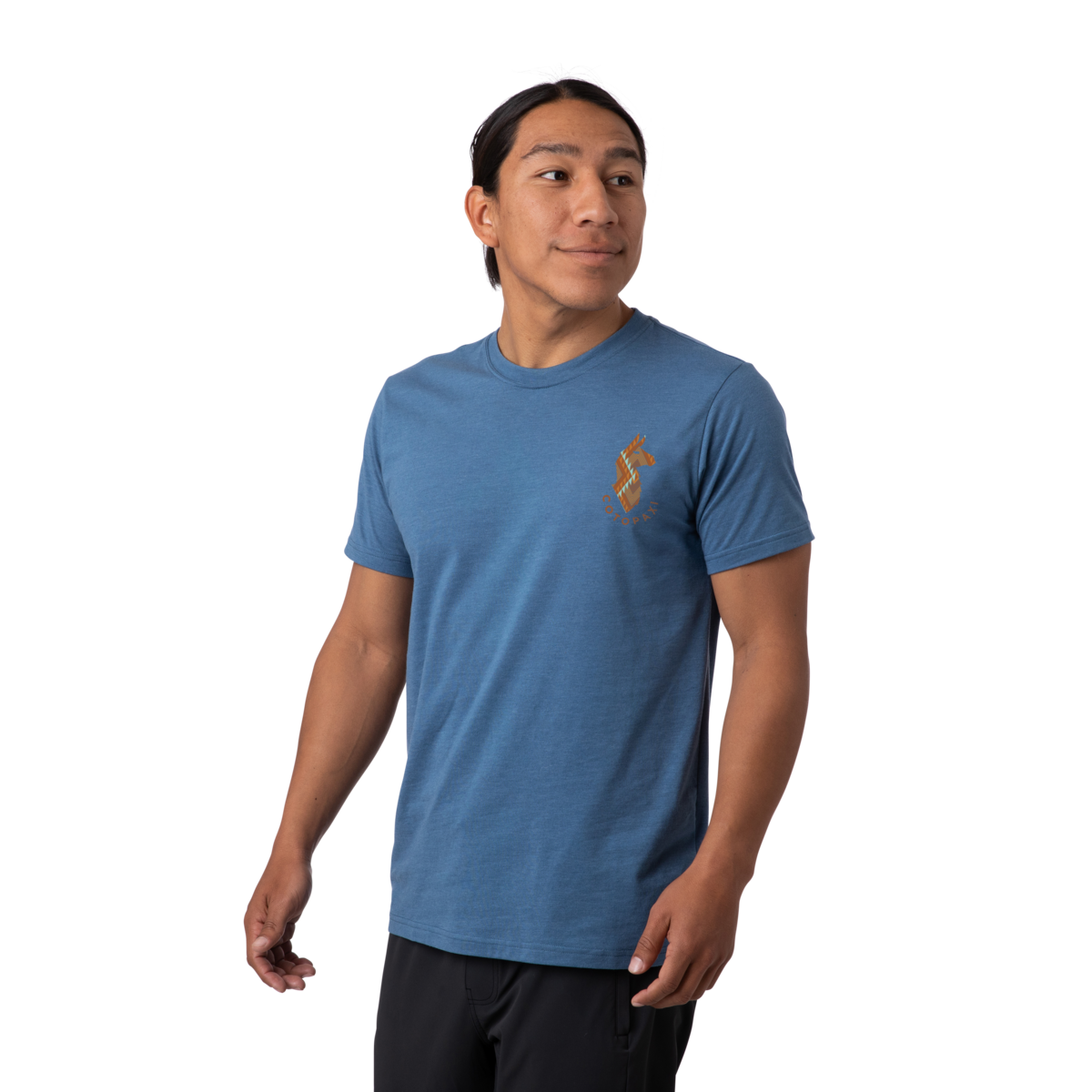 Llama Lover T-Shirt - Men's