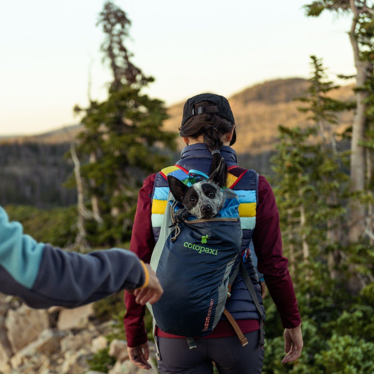 Fuego Down Vest - Women's