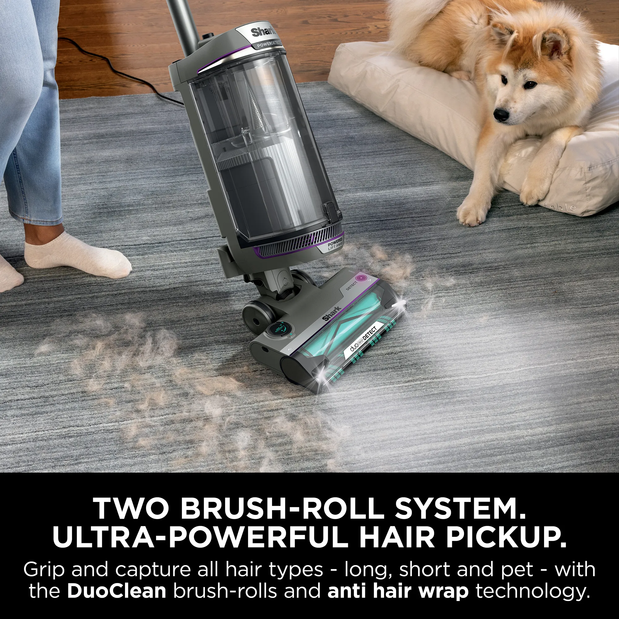 Shark PowerDetect Corded Upright