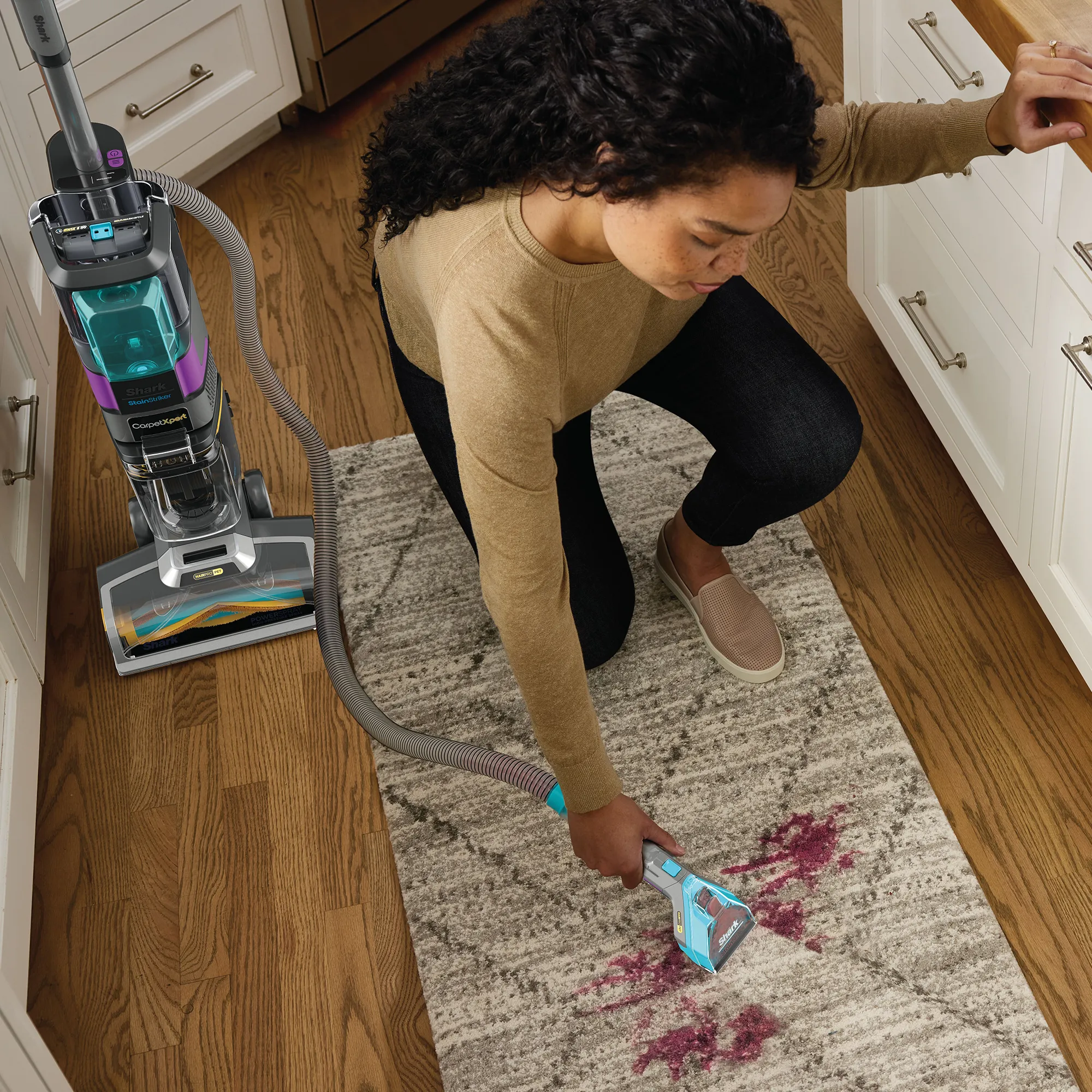 Shark CarpetXpert HairPro Pet with StainStriker