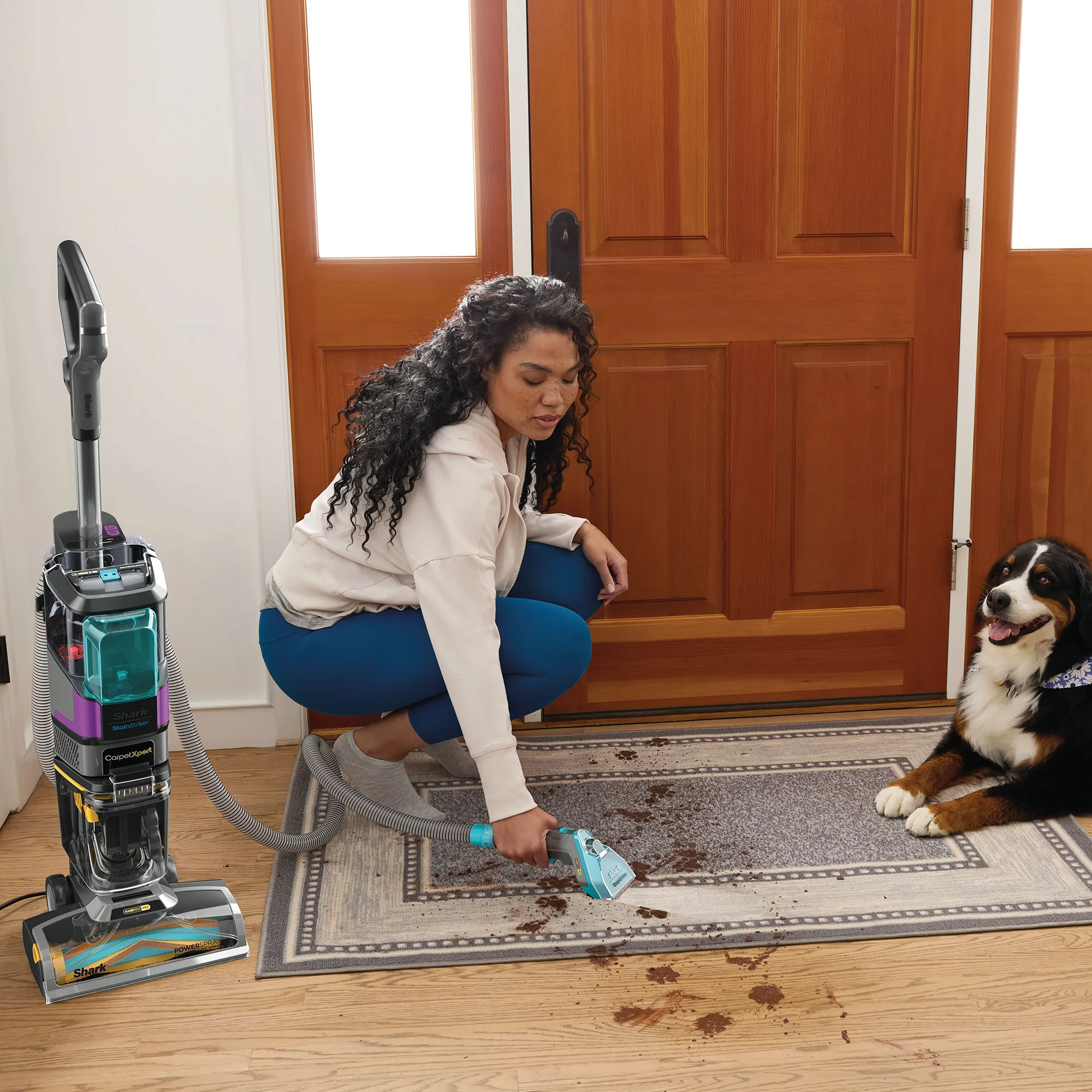 Shark CarpetXpert HairPro Pet with StainStriker