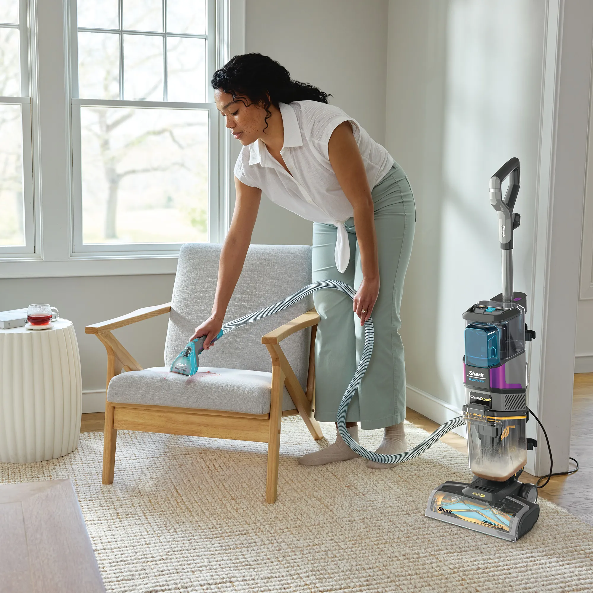 Shark CarpetXpert HairPro Pet with StainStriker