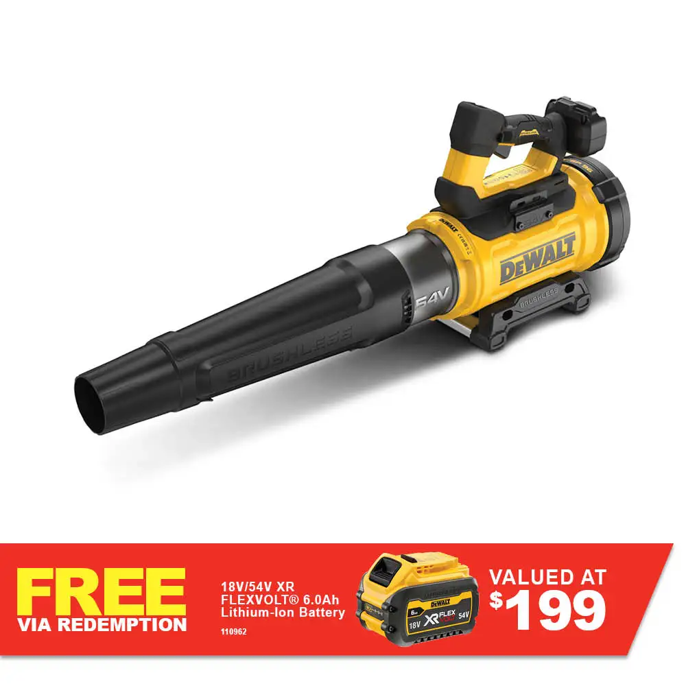 DeWalt OPE Blowers
