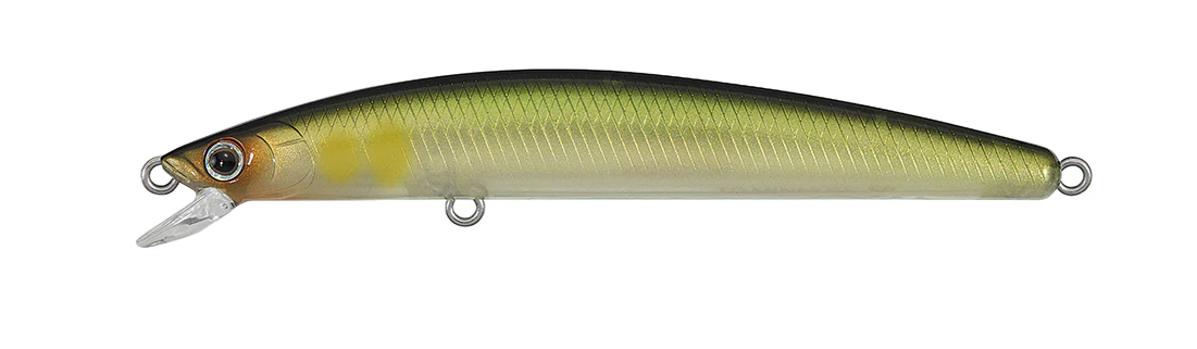 TD MINNOW