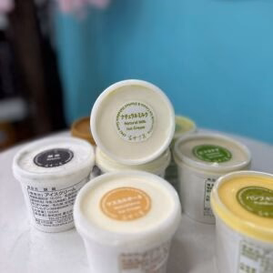 FUJIREIKA Japan Handmade Ice Cream Nature Milk Flavor