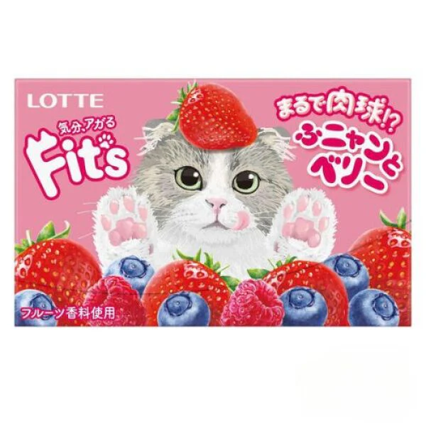 Lotte Fit's Chewing Gum Fruity Berry Flavor 12 pieces