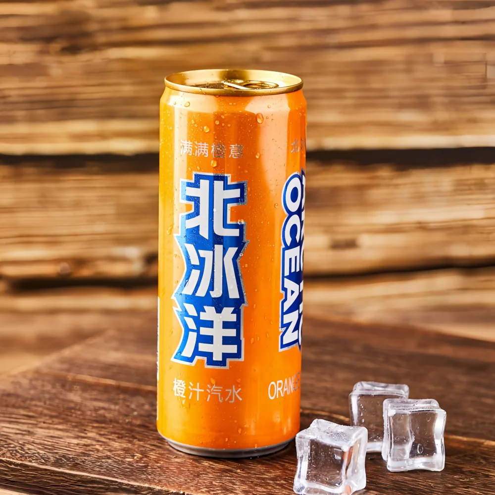 ARCTIC OCEAN Orange Soda Juice 330ml*6