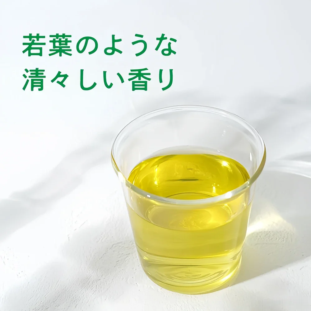 ITOEN Oi Ocha Pure Green Tea 600ml