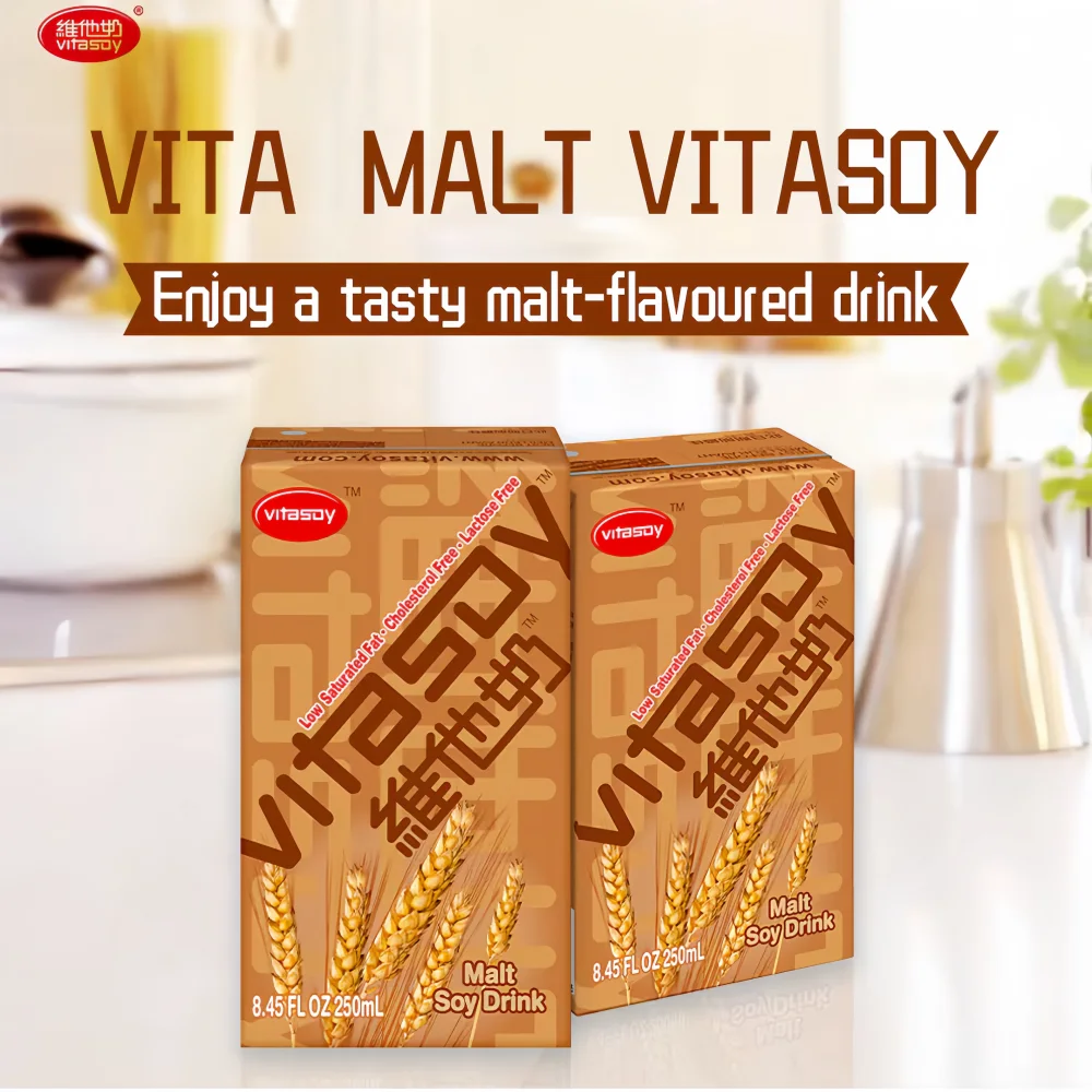 VITA Malt Soy Drink 250ml