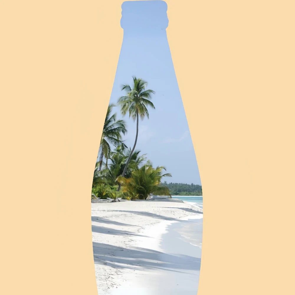 TAS Coconut Beverage Melon 290ml