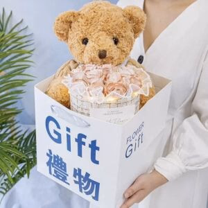 Gift Box Edition : Hugging Teddy Bear 40cm
