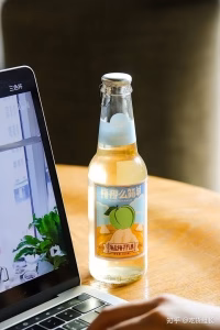 SPARKLING PLUM AND SEASALT JUICE