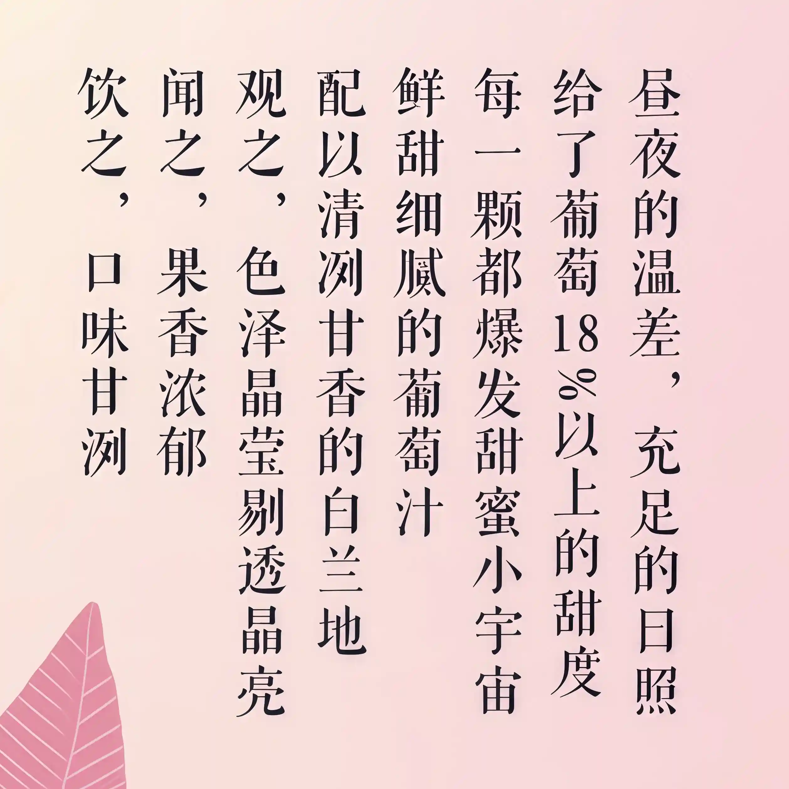 RIO Juice Light Grape Flavour 330ml