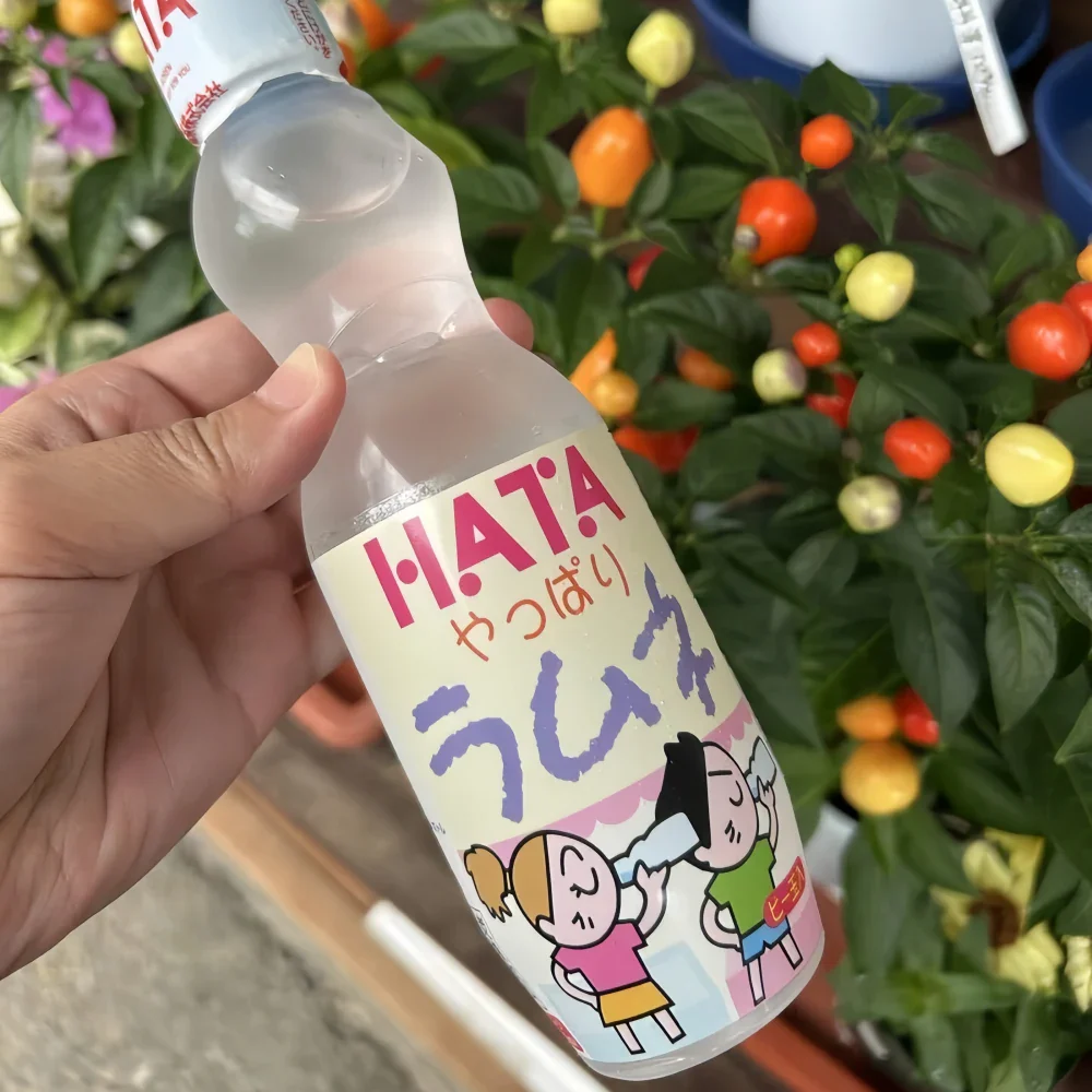 HATA Ramune Soda Yappari After all Flavor 250ml