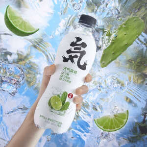 YUANQI Soda Water-Lime+Cactus 480ml