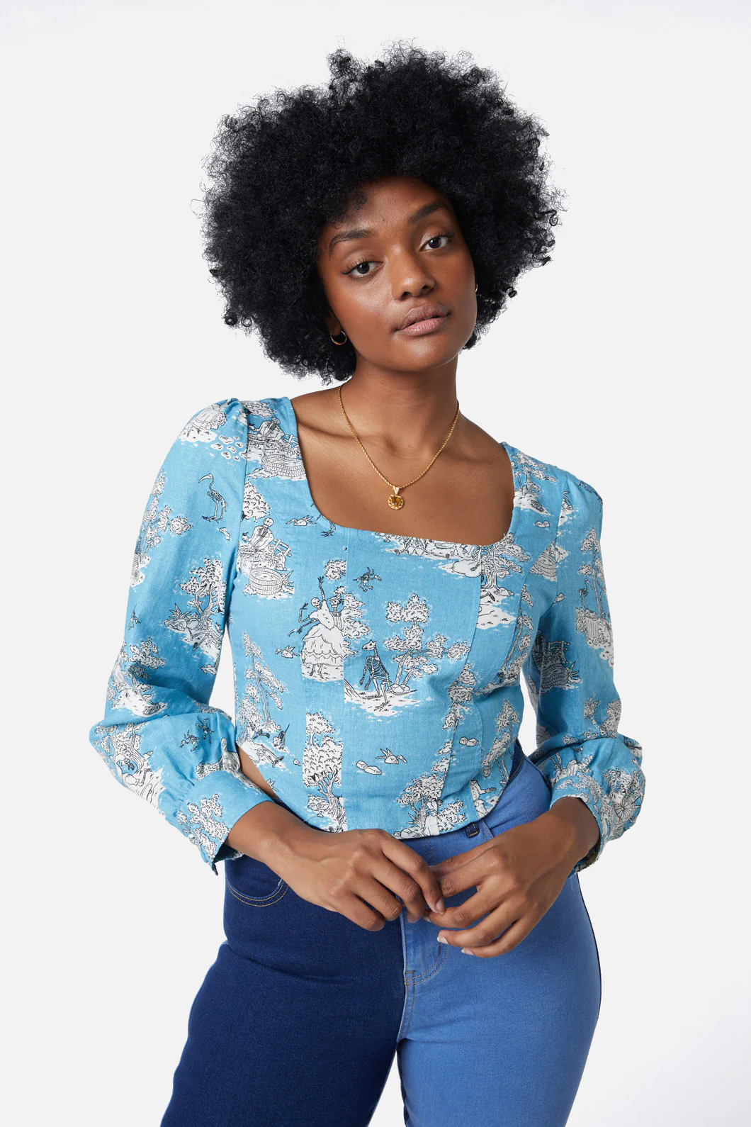 Skelly Toile Puff Sleeve Top
