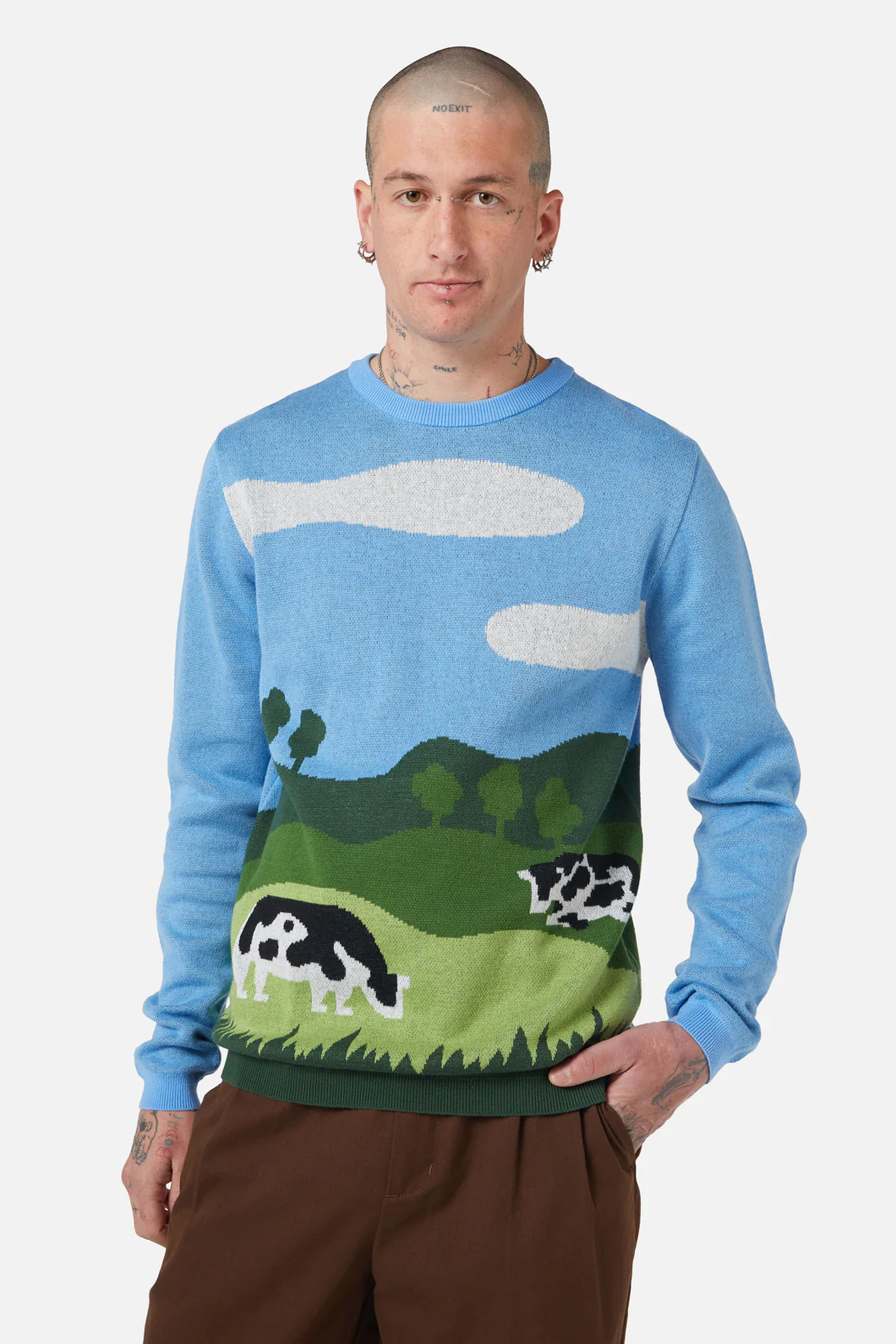 Landscape Border Knit