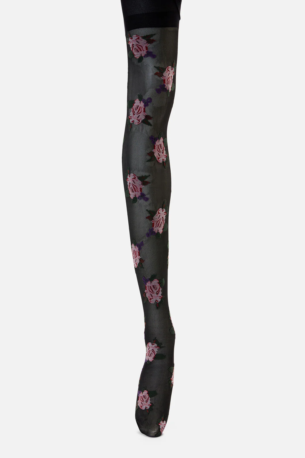 Black Sheer Roses Tights