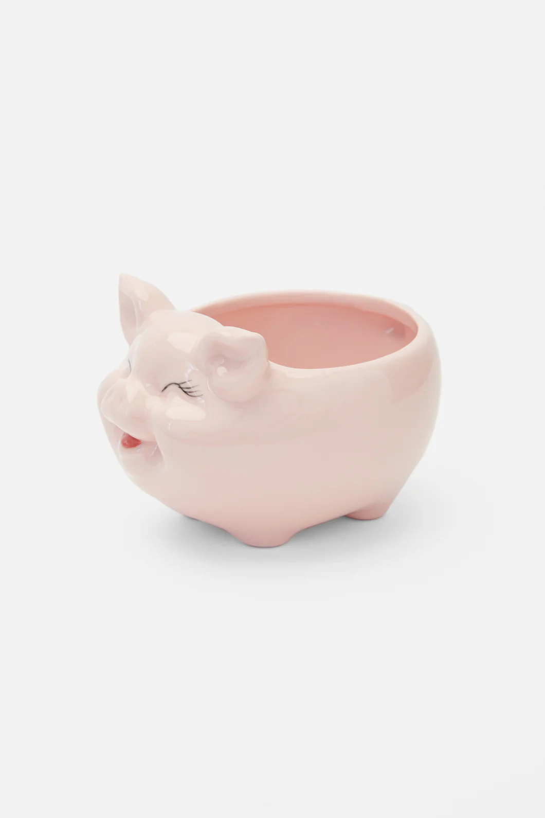 Piggy Planter