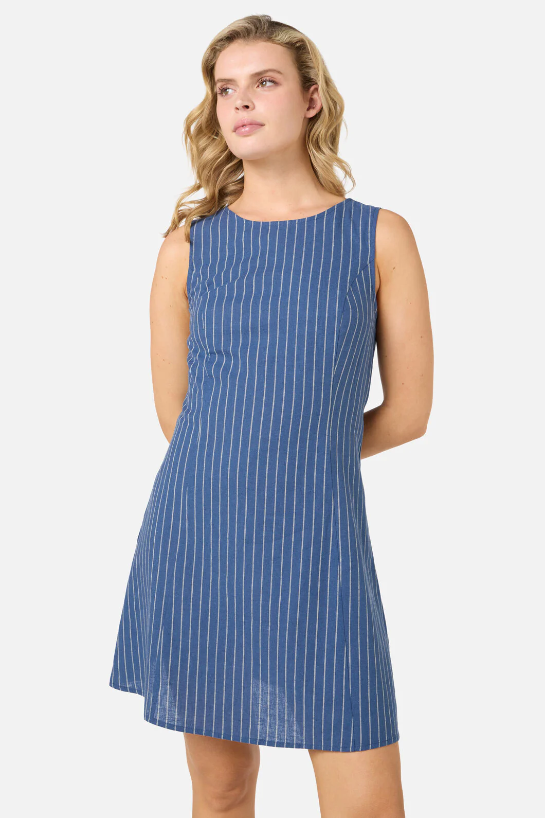 Frankie Pinstripe Shift Dress