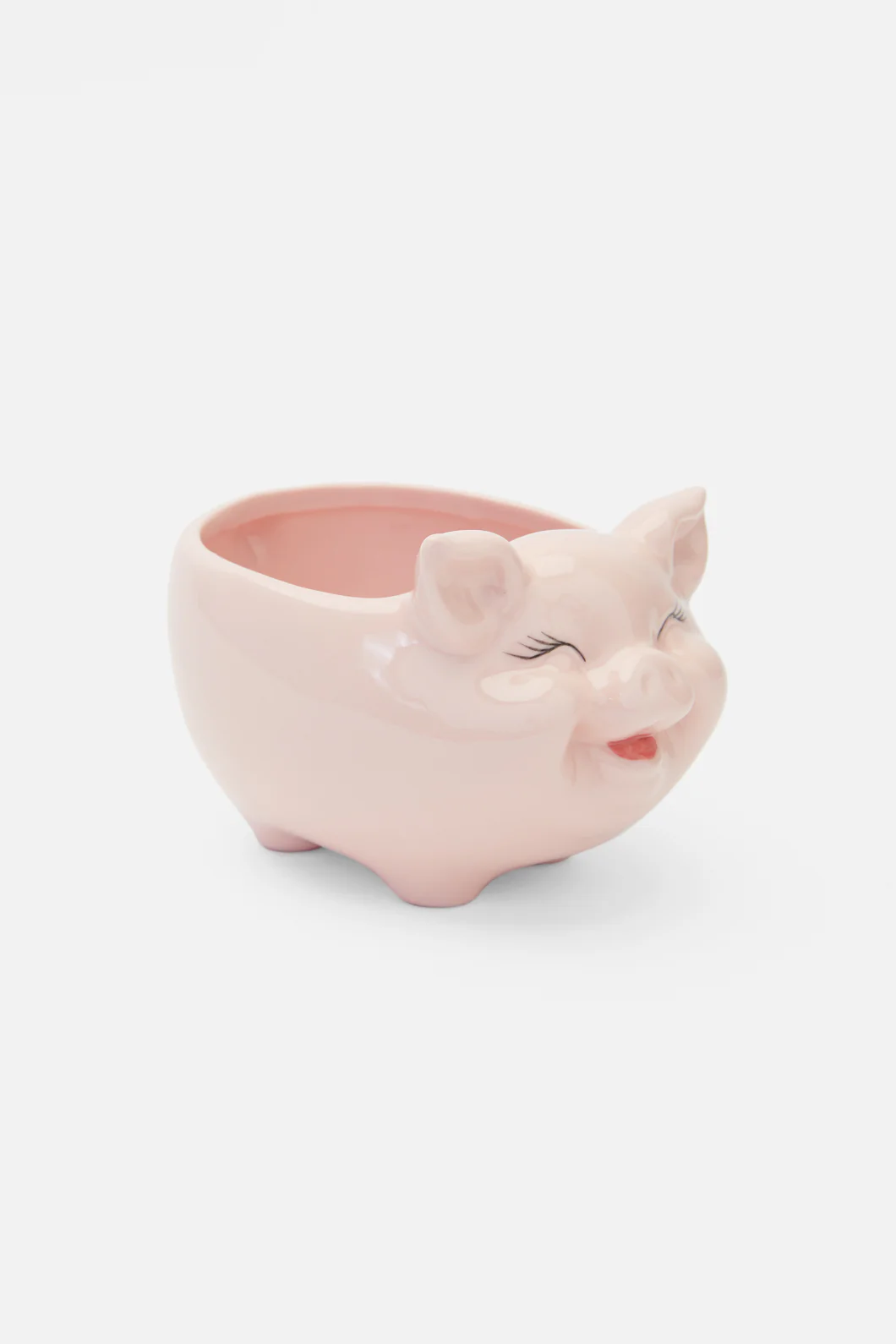 Piggy Planter