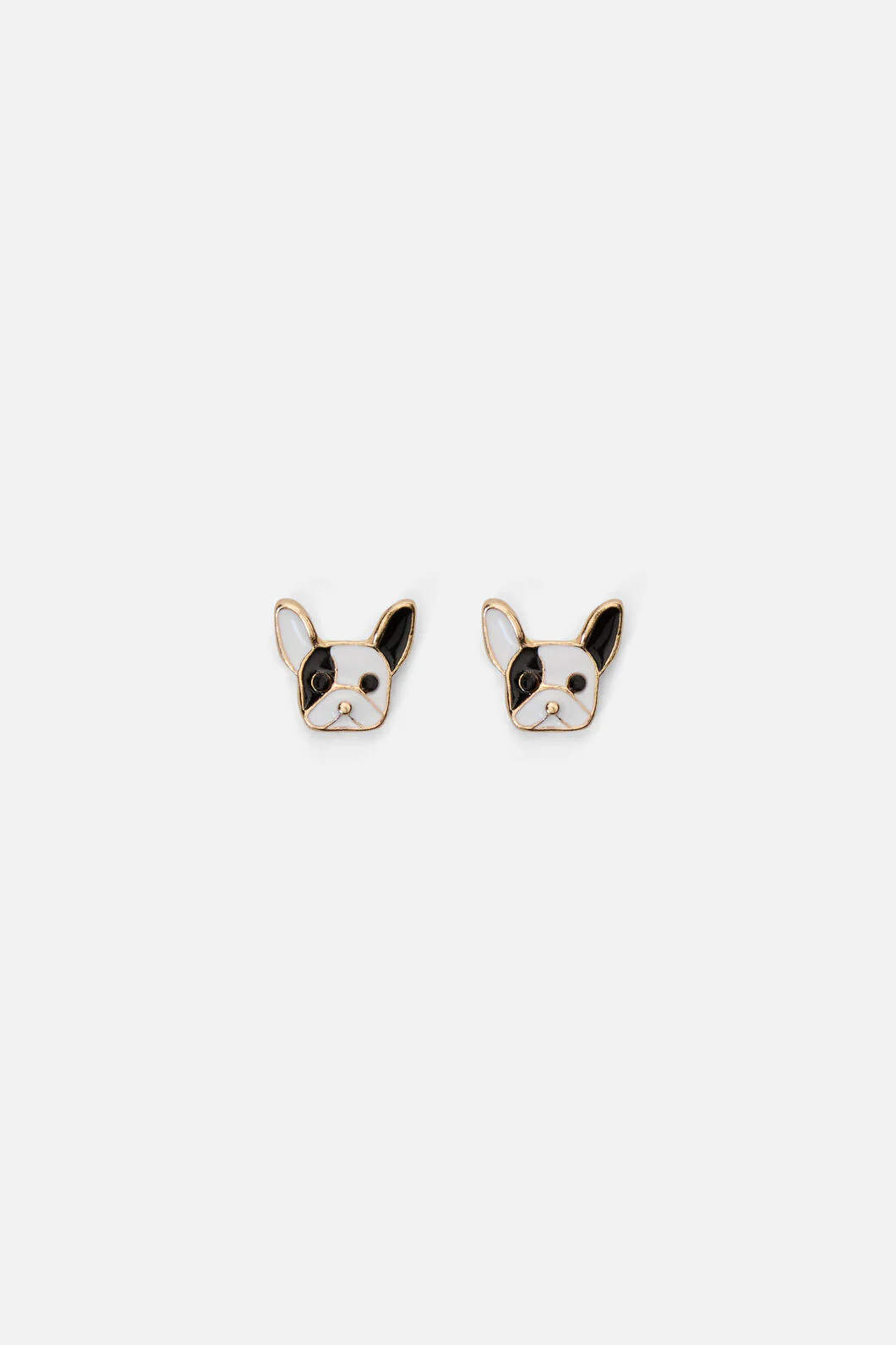 Boston Terrier Studs