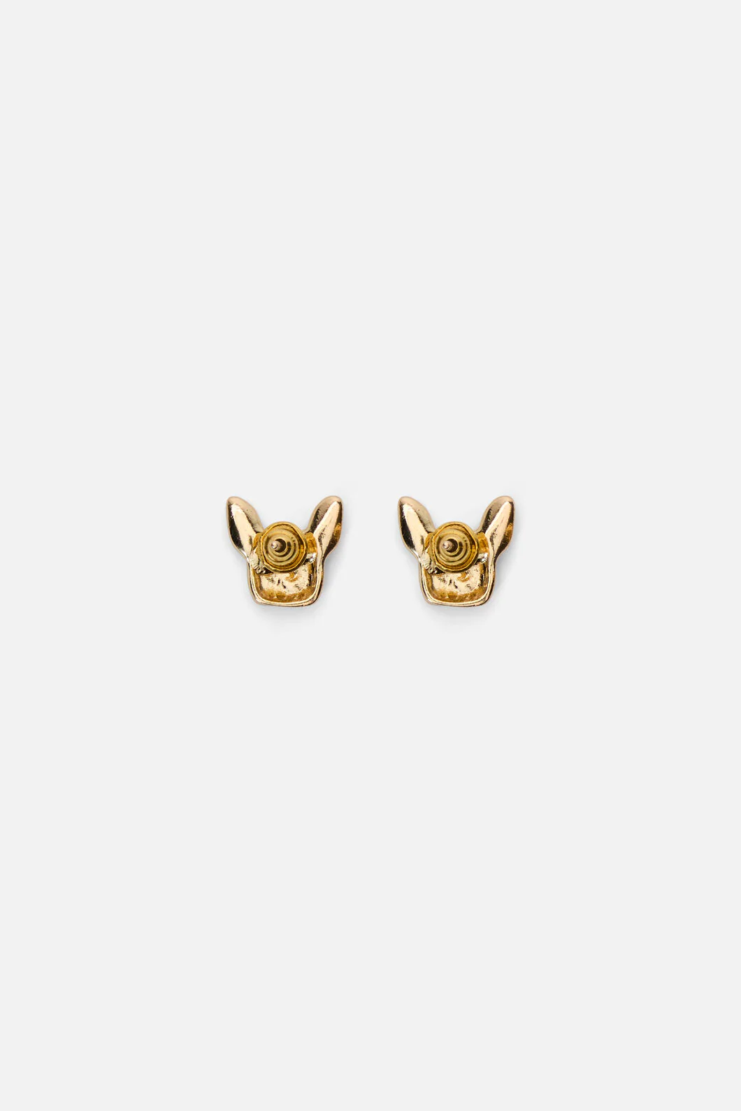 Boston Terrier Studs