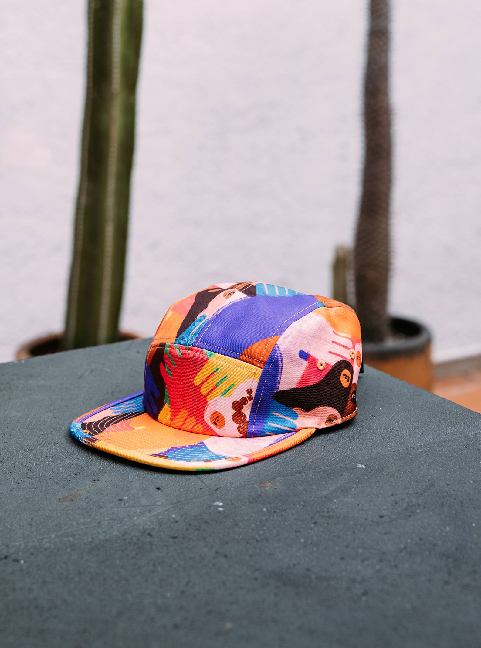 Burton Artist Series Cap