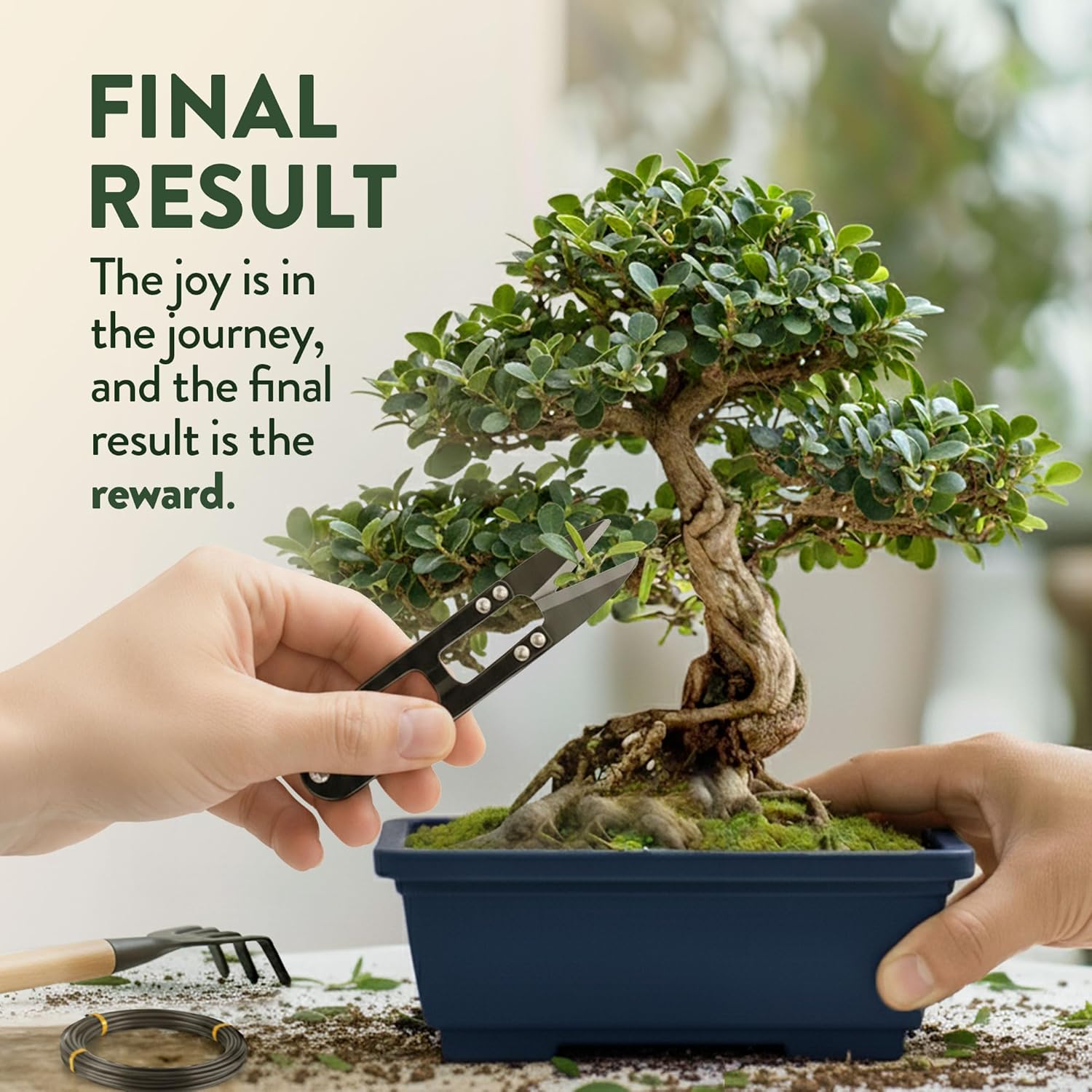 HOME GROWN Bonsai Tree Starter Kit – Unique Christmas Gift for Adults, Men, Women - Grow 4 Bonsais – DIY Crafts Hobby Gardening Kit for Plant Lovers, Mom, Dad - White Elephant Gifts for Adults