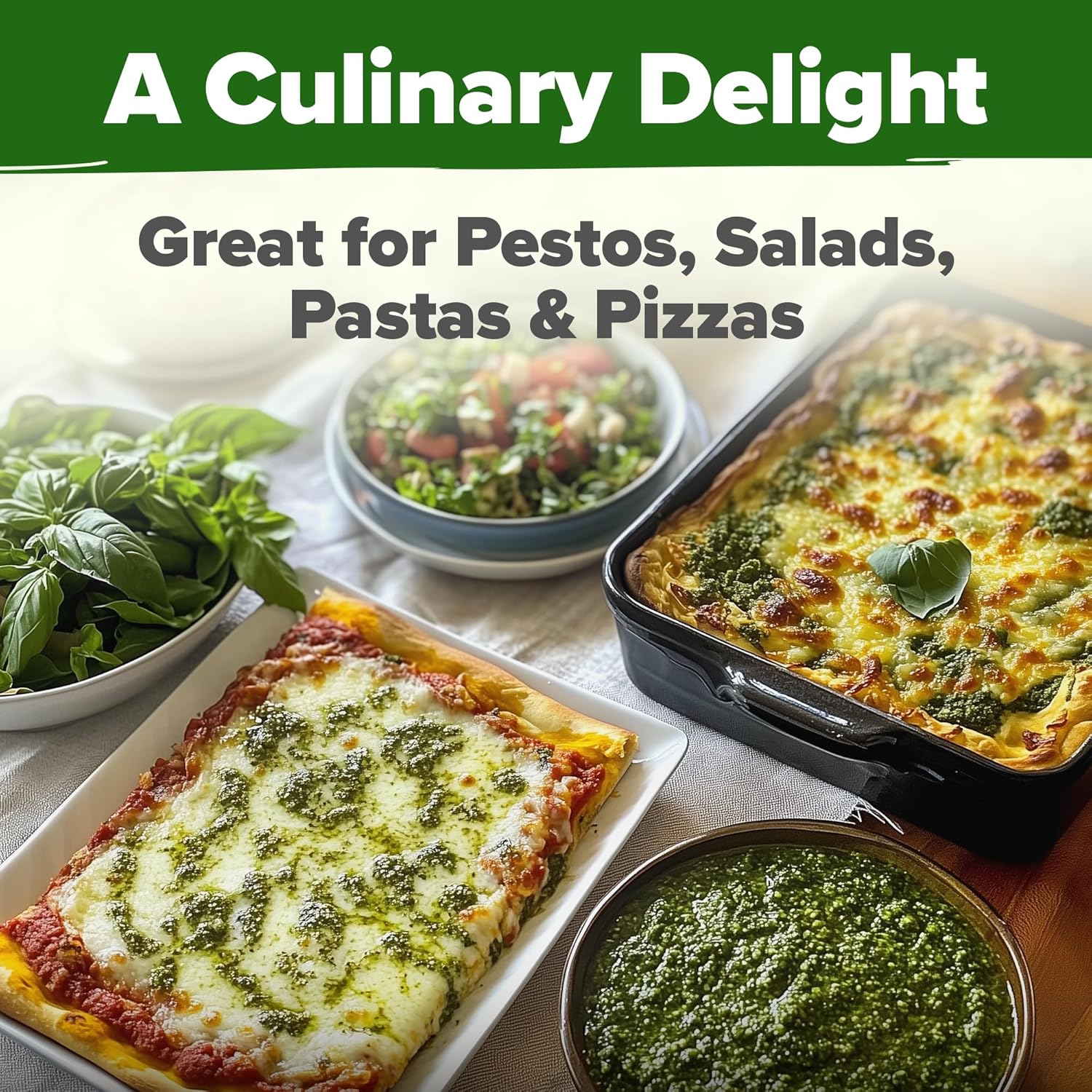 HOME GROWN Non GMO English Lavender Seeds 1,500+ Wildflower Seed for Planting Indoor/Outdoor, High Germination, Plant Flower Seeds (Lavandula antustifolia)