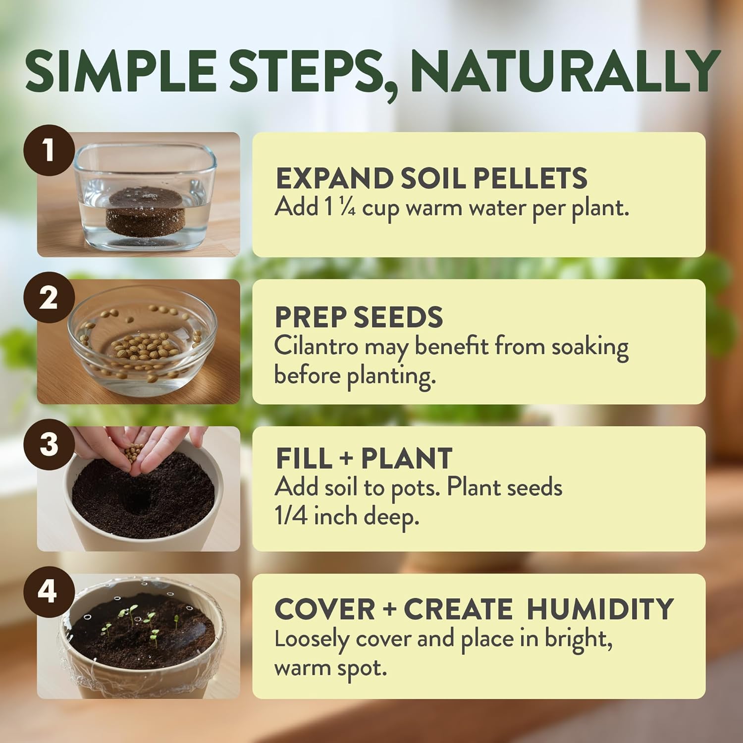 HOME GROWN Bonsai Tree Starter Kit – Unique Christmas Gift for Adults, Men, Women - Grow 4 Bonsais – DIY Crafts Hobby Gardening Kit for Plant Lovers, Mom, Dad - White Elephant Gifts for Adults