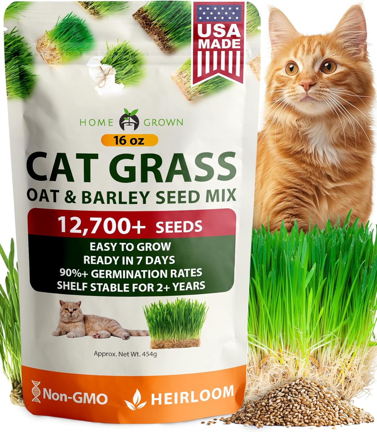 HOME GROWN Non GMO English Lavender Seeds 1,500+ Wildflower Seed for Planting Indoor/Outdoor, High Germination, Plant Flower Seeds (Lavandula antustifolia)