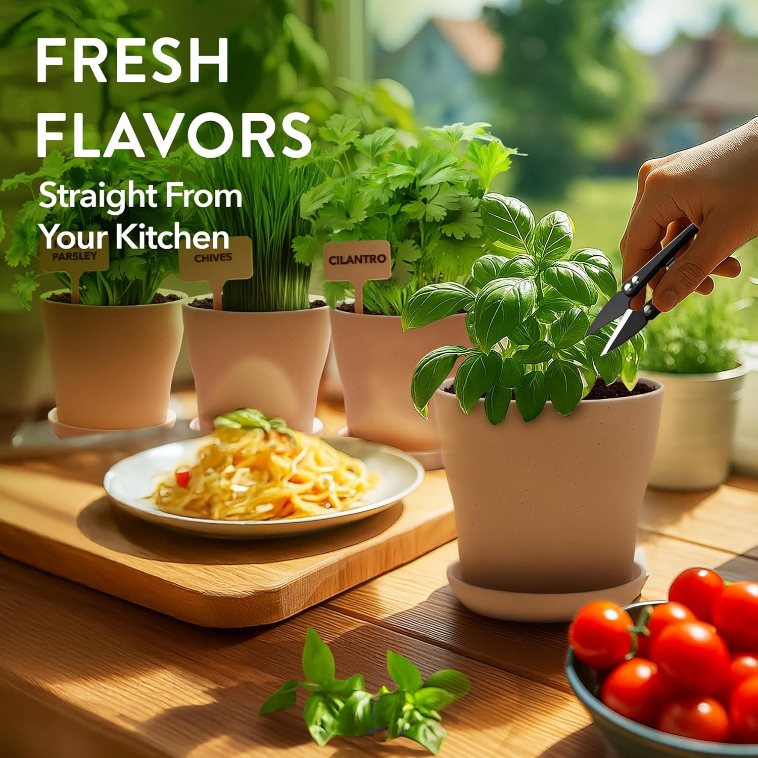 HOME GROWN Bonsai Tree Starter Kit – Unique Christmas Gift for Adults, Men, Women - Grow 4 Bonsais – DIY Crafts Hobby Gardening Kit for Plant Lovers, Mom, Dad - White Elephant Gifts for Adults