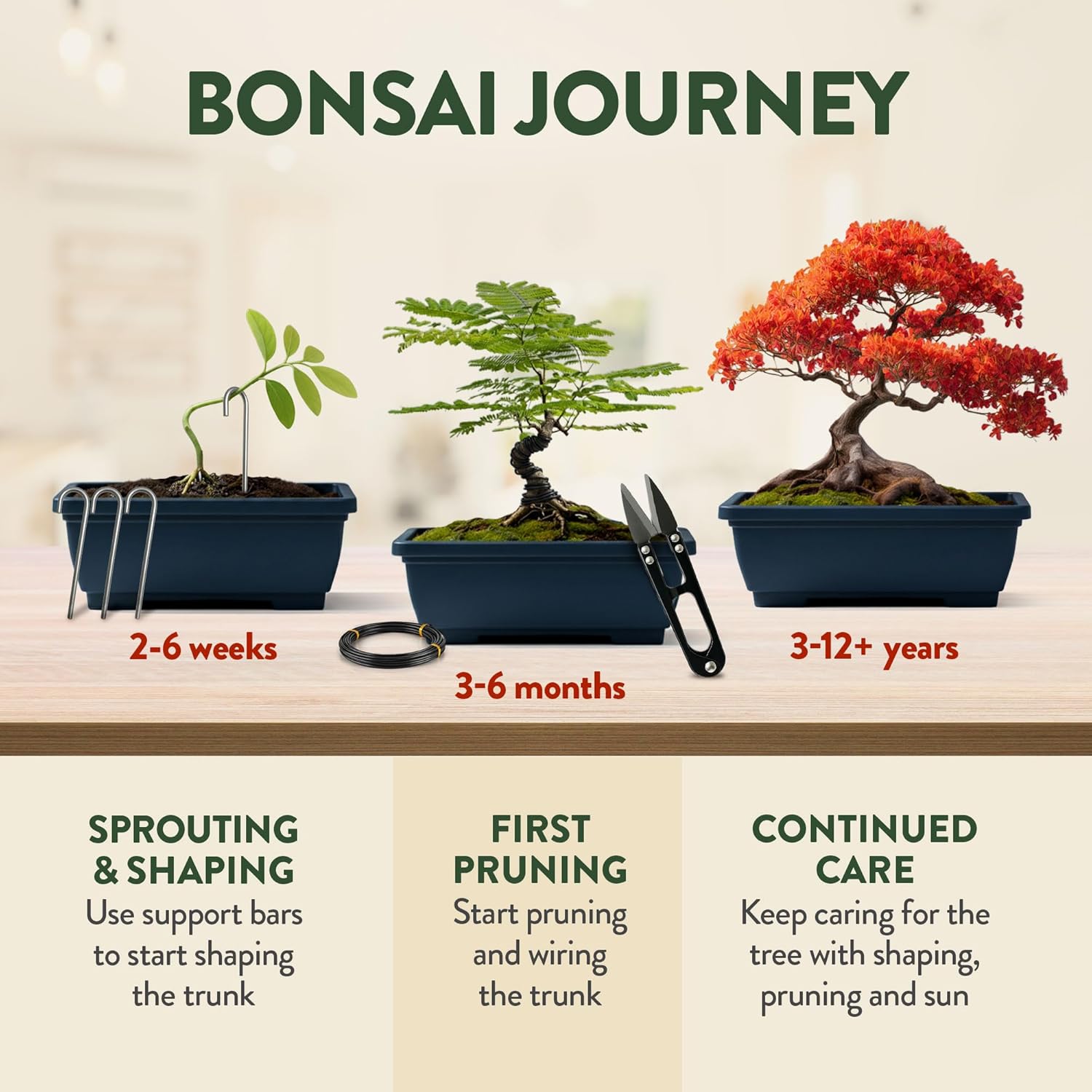 HOME GROWN Bonsai Tree Starter Kit – Unique Christmas Gift for Adults, Men, Women - Grow 4 Bonsais – DIY Crafts Hobby Gardening Kit for Plant Lovers, Mom, Dad - White Elephant Gifts for Adults
