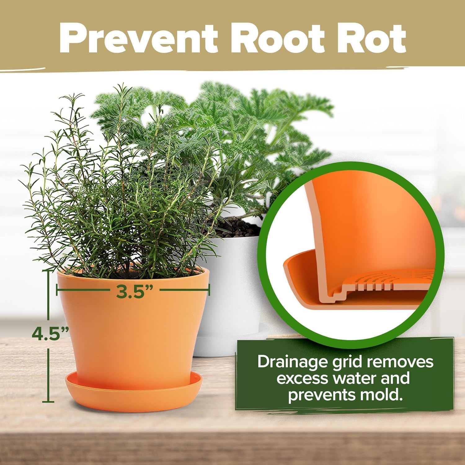 HOME GROWN Bonsai Tree Starter Kit – Unique Christmas Gift for Adults, Men, Women - Grow 4 Bonsais – DIY Crafts Hobby Gardening Kit for Plant Lovers, Mom, Dad - White Elephant Gifts for Adults