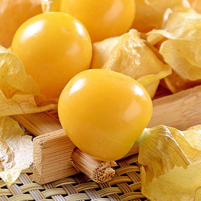 Physalis Peruviana Fruit-Lantern Fruit Seeds