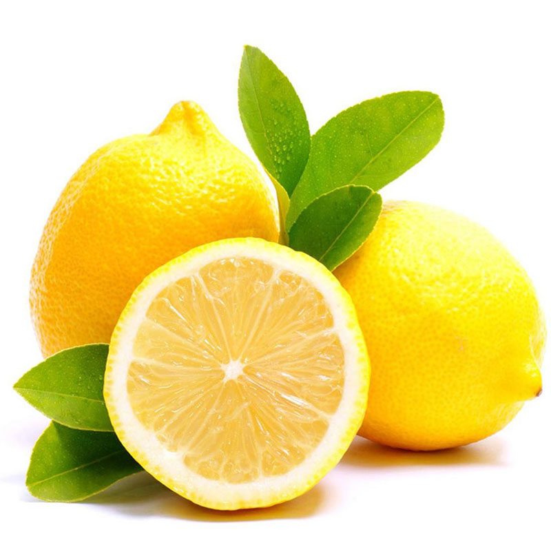 Perfume Lemon Seeds 🍋 High Germination Rate - Year Round Blooms and Fruits