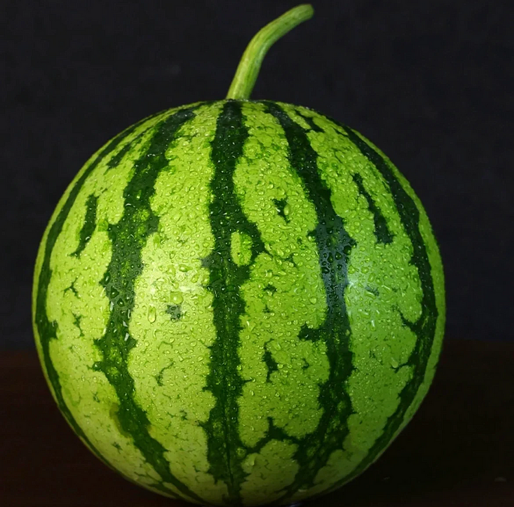 🍉Last Day Sale - 60% OFF 🌱 Lazy Man's Watermelon Seeds /non-genetically modified
