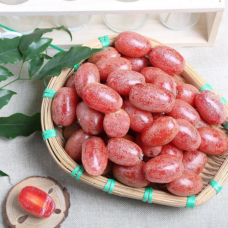 Elaeagnus Conferta Seeds