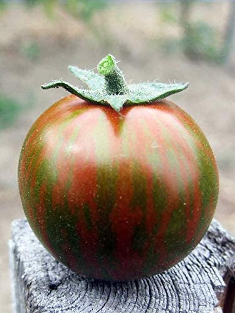 Rare Organic Vegetable Tomato Seeds 