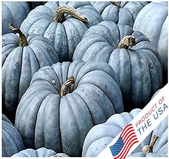 Blue Pumpkin Seeds