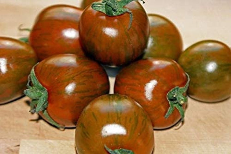 Rare Organic Vegetable Tomato Seeds 