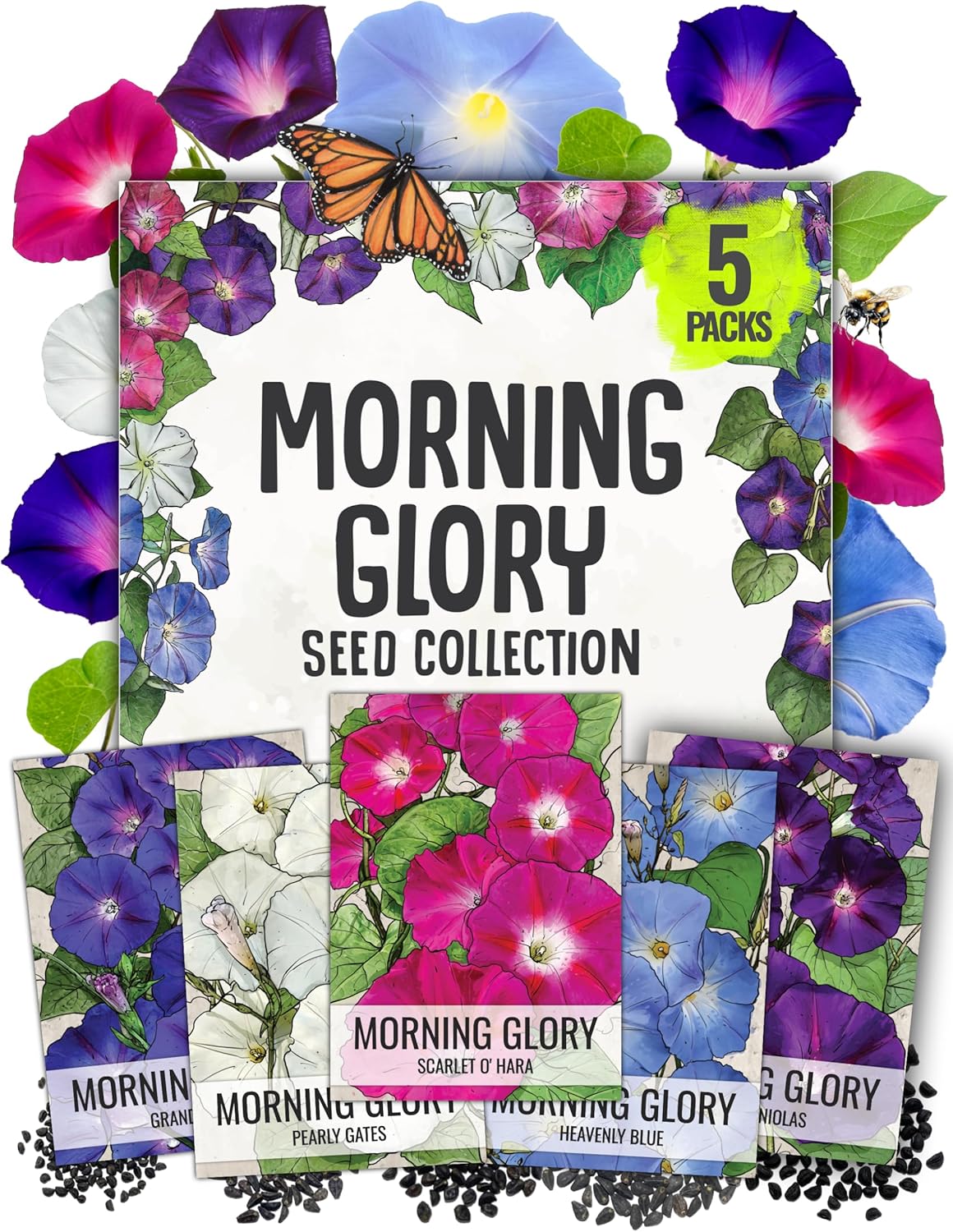 Seed Needs Morning Glory Seeds for Planting - Variety Pack/Collection of 5 Individual Varieties - Heirloom & Open Pollinated Vines to Plant a Butterfly Garden (5 Packs)