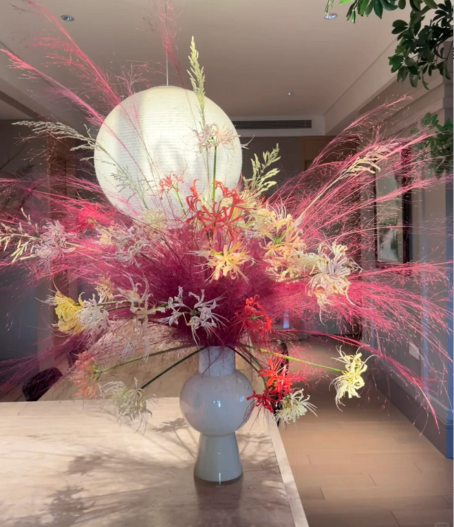 Pink Muhly Grass Seeds