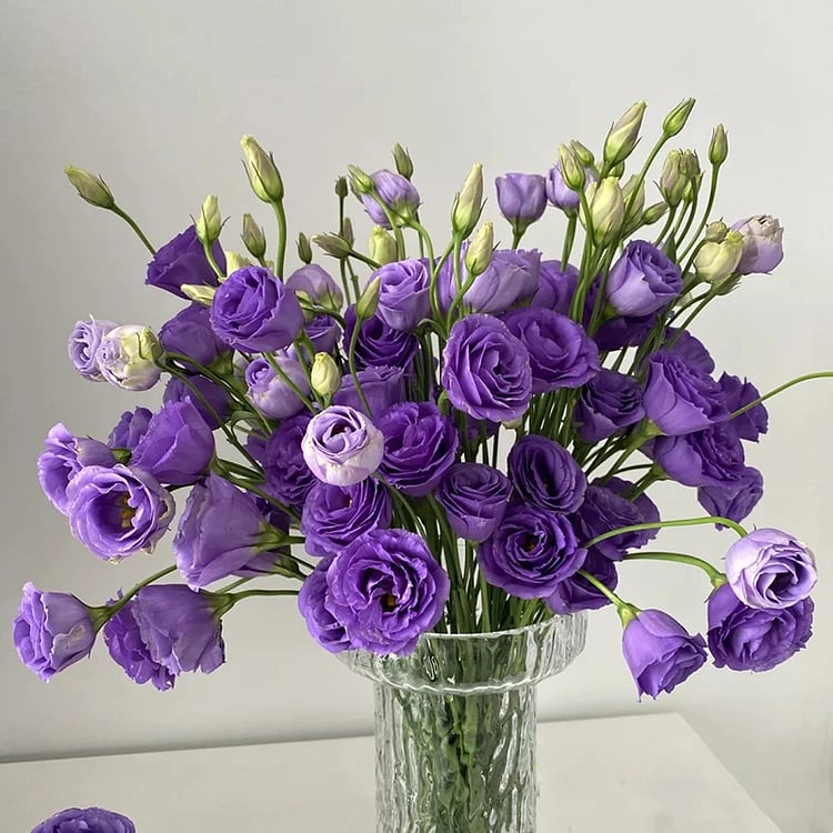 🌺 Lisianthus (Thornless Rose) — Elegance, Color & Year-Round Beauty