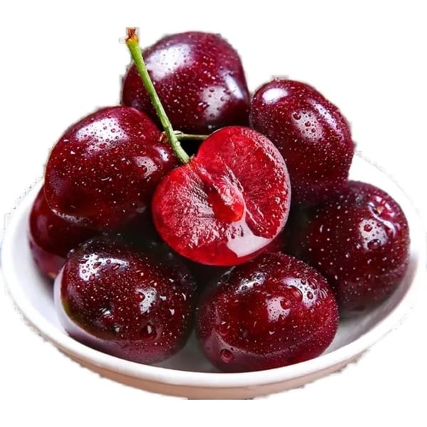 🍒Rainier Cherry Fruit Seeds(🌿99% Germination)